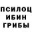 Галлюциногенные грибы мухоморы sharon yatrofsky