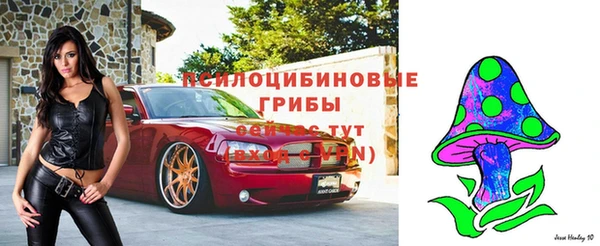ГАЛЛЮЦИНОГЕННЫЕ ГРИБЫ Навашино