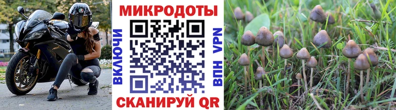 ссылка на мегу рабочий сайт  Переславль-Залесский  Псилоцибиновые грибы GOLDEN TEACHER 