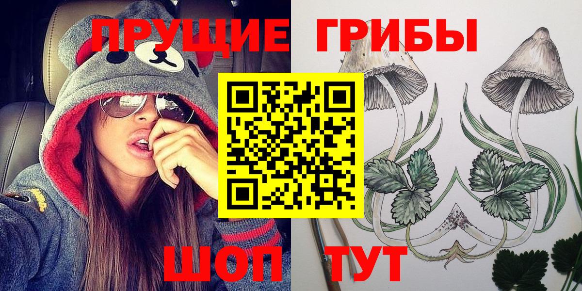 Переславль-Залесский  Псилоцибиновые грибы Psilocybe  Вход с VPN 